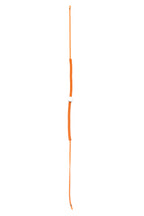 Disc Rakhi